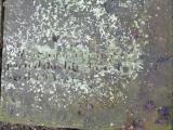 image of grave number 810636